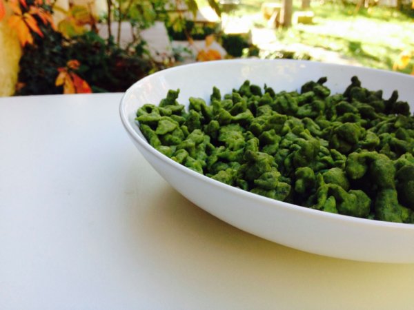 14902797_1233301370045980_4393068733944245434_o